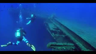 Zenobia Ship Wreck