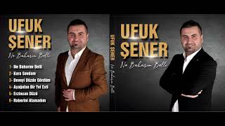 Erzincan Düzü Resimi