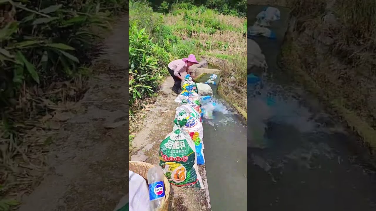 The Process Of Lowering Sacks Grain By Water When There Is No Money For Freight Transportation