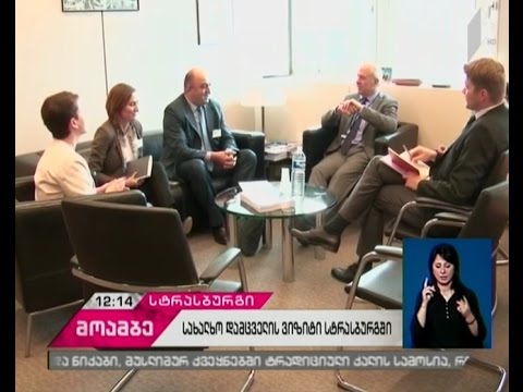 ოკუპირებულ ტერიტორიებზე ადამიანის უფლებათა მდგომარეობის შესახებ  ისუბრა სტრასბურგში ომბუდსმენმა