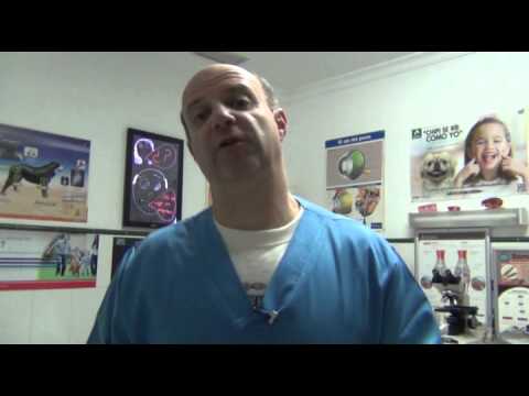 Vídeo: Cor Ampliat (cardiomiopatia Dilatada) En Gats
