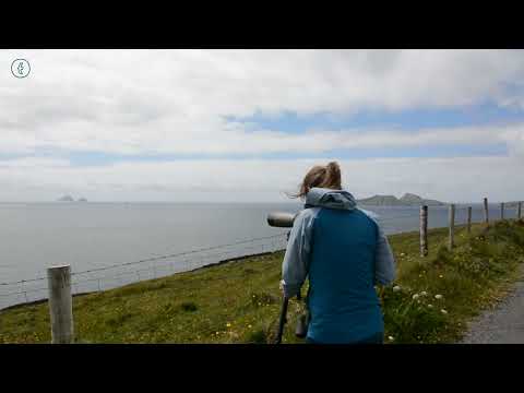 Whale Watching on the Iveragh Peninsula