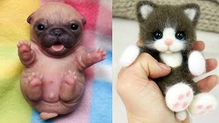 Cute baby animals Videos Compilation cute moment of the animals - Cutest Animals #14