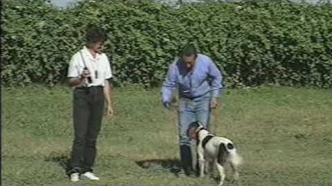 Tri-Tronics Hold Command for Bird Dogs Part 6 of 6