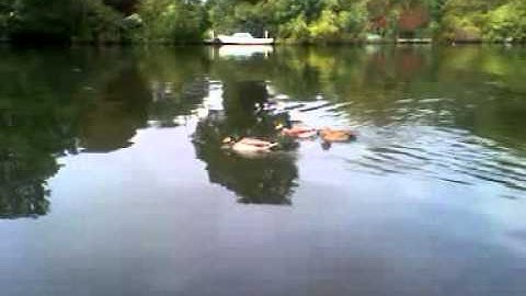 Huawei Ideos test video