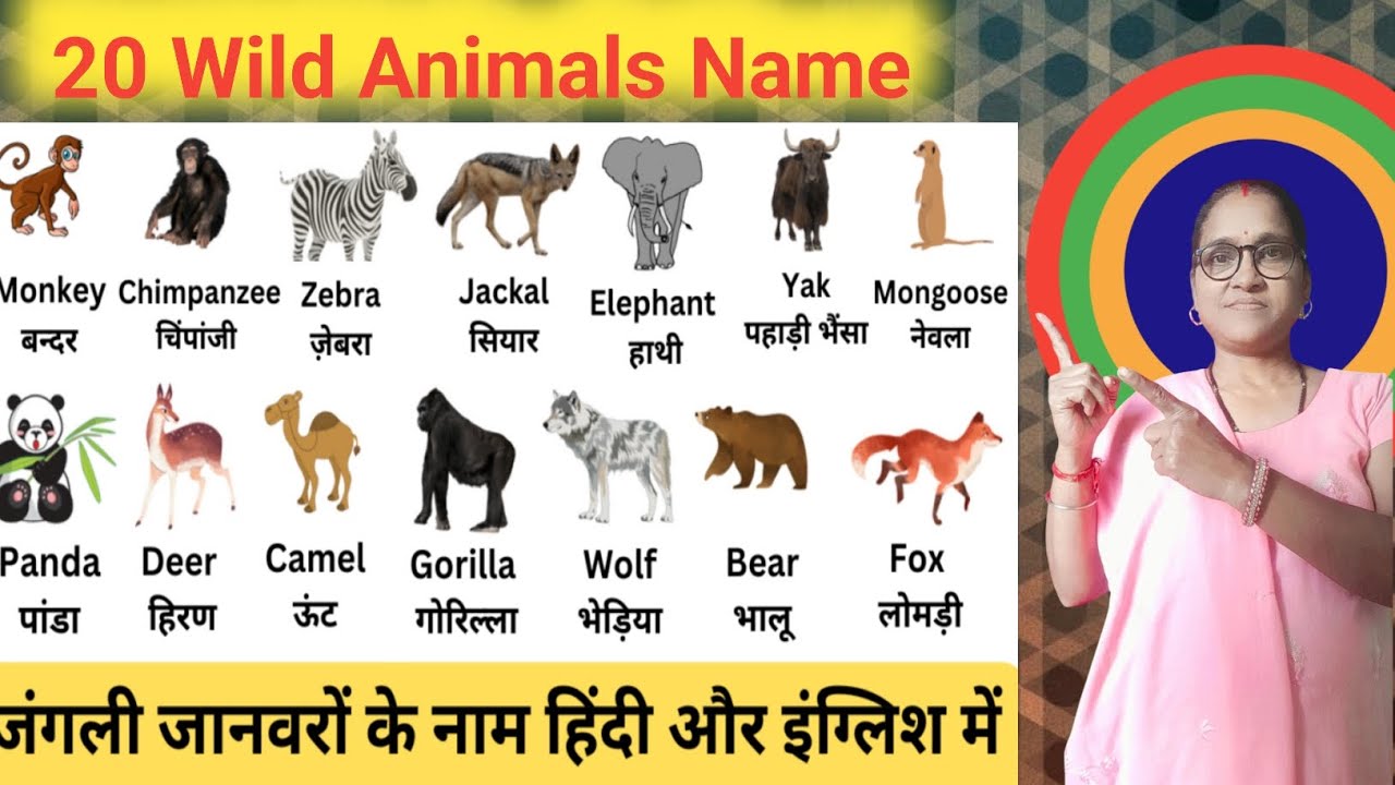 20 Wild animals name in Hindi and English | जंगली जानवरों के नाम ...