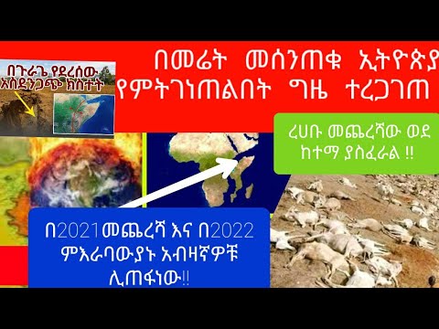 ቪዲዮ: ዲስክ Hiller (21 ፎቶዎች) - የድንች ኮረብታ እንዴት ይከሰታል? ከቀላል እና ከሁለት ረድፍ ምን ይሻላል? ማሾፍ አለብኝ? በተንሸራታች ሞዴል የመቁረጫ ቀዳዳዎችን መቁረጥ። የአረሙ ባህሪዎች ከአረም ጋር