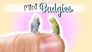 How To Miniature Budgie Tutorial // DIY Doll Pet Bird