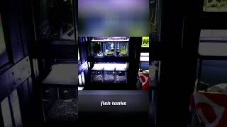10 Gallon Tanks: The ULTIMATE Beginner Fish Tank SECRET!