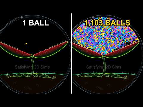 16 Most Satisfying Simulations (A Venus Flytrap Eats 1,125 Balls)