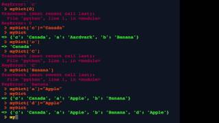 Python 20: Dictionaries Examined Net Worth