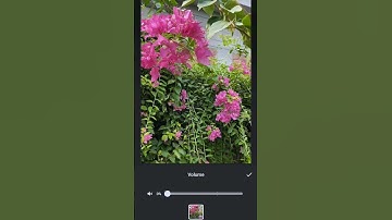 How to add music on video using inshot apps. #inshotediting #inshotapp #videoediting #addmusic