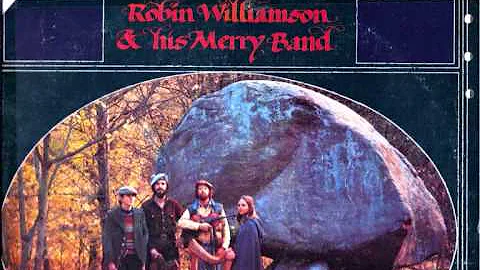 robin williamson - sands and the glass