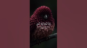 القران الكريم راحة النفسية #اكسبلور #duet #المصحف #cat #راحة_نفسية #العظماء #دويتو #الرحم #القزابري