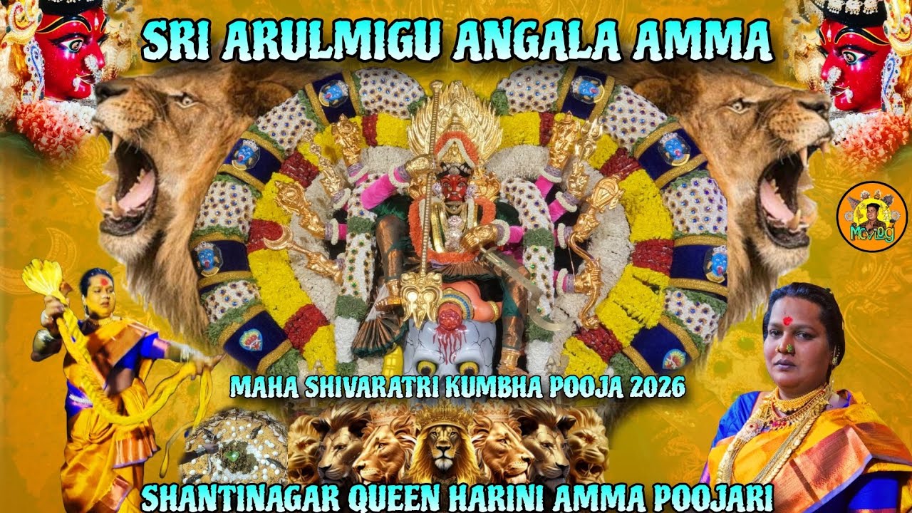#SRI ARULMIGU ANGALA AMMA  MAHA SHIVARATRI  MAYANA KOLLAI  SHANTI NAGAR QUEEN HARINI AMMA MC VLOG 😈