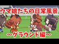 【ウマ娘】可愛すぎるミニウマ娘たちの日常風景~グラウンド編~