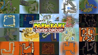 Mario Kart Super Circuit In Minecraft