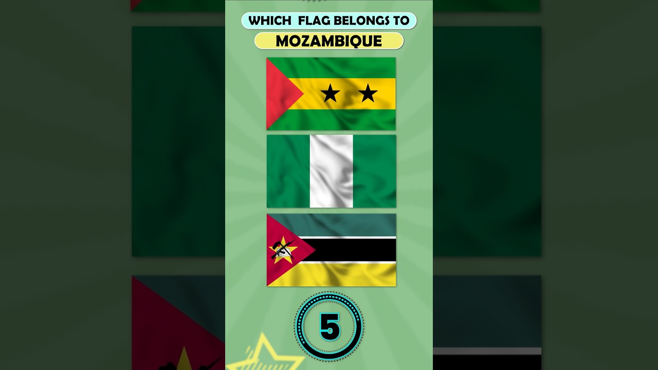 Do you know the flag of Mozambique? 🌍 How Well Do You Know World Flags?  #quiz #flags