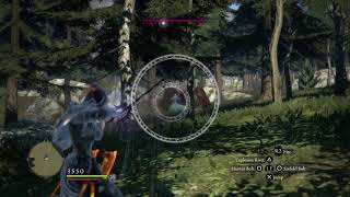 Dragon's Dogma: Dark Arisen - Devilfire Grove