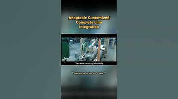 Delta Robot Packer: High-Speed Precision for Tofu Packing Solutions