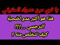 اكبر عدو لضحية النرجسي 5 أنواع من الخوف زرعها جواكى النرجسي هبة المغر بي اكبر عدو لضحية النرجسي 5 أنواع من الخوف زرعها جواكى النرجسي هبة المغر بي