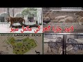 LAHORE ZOO 2020 | WILDLIFE PARK | LIONS AND TIGERS | DISCOVER PAKISTAN | LAHORE SAFARI