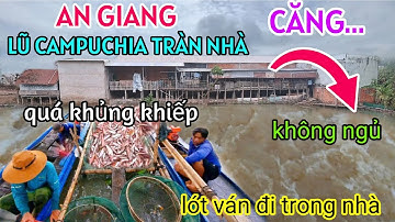 LŨ CAMPUCHIA TRÀN QUA BIÊN GIỚI AN GIANG NGẬP NHÀ CẢNH KHỔ NGƯỜI DÂN TÍCH CÁ QUÁ KHỦNG KHIẾP MÙA LŨ