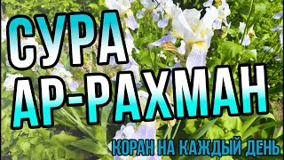 КРАСИВОЕ ЧТЕНИЕ КОРАНА - Сура Ар-Рахман - КАКУЮ ЖЕ ИЗ МИЛОСТЕЙ ВАШЕГО ГОСПОДА ВЫ ОТВЕРГАЕТЕ?