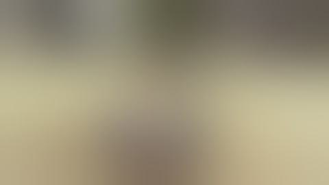 Merry-go-round of Death Take 2 (funny) - Angular Momentum