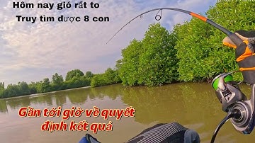 Không có cá khủng, nhưng lại vất vả với những con cá chẽm lá mít này, tới lúc là nó tấn công 