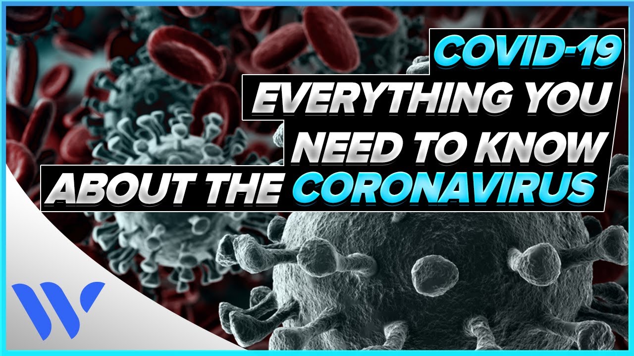 Everything you need to know about the COVID-19 Coronavirus Pandemic ...