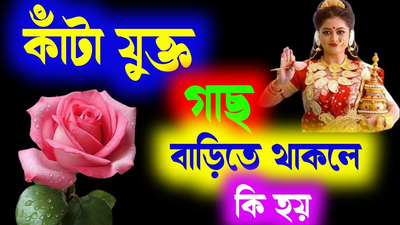 Yosh ayollar kiyimidagi behayolik sahnalari Ehtirosli kunnilingus va chiroyli