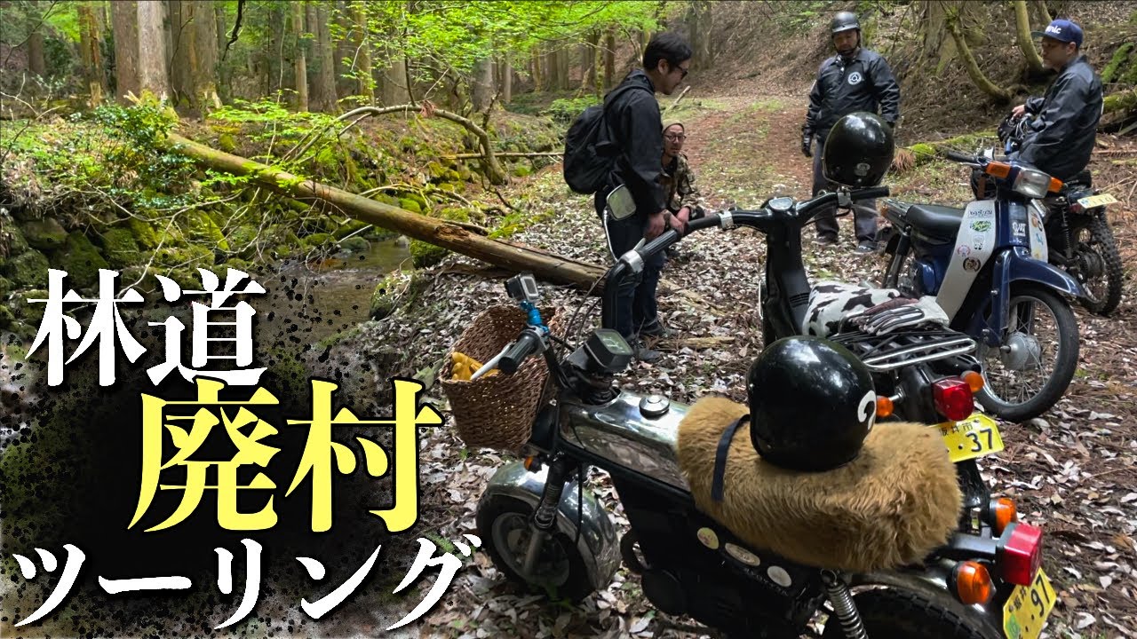 Forest road/abandoned village exploration] Old men climbing the