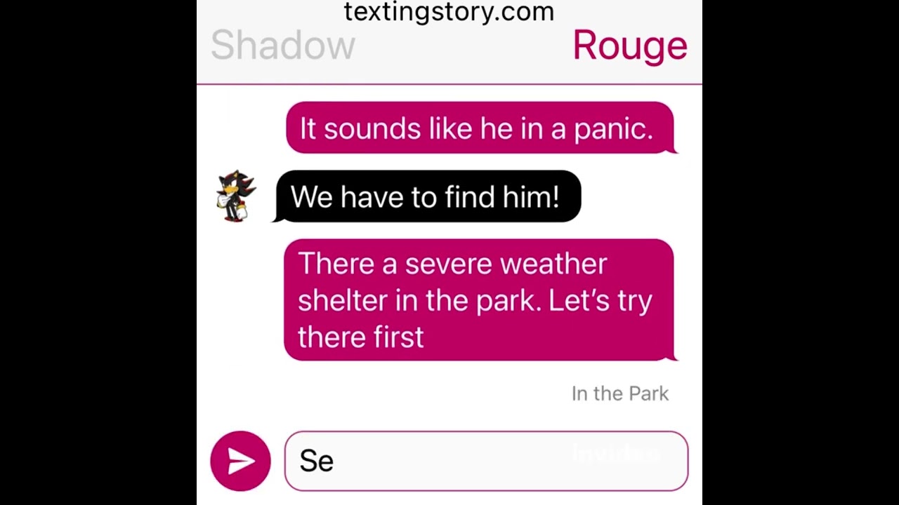Shadow and Rouge comfort Thunder