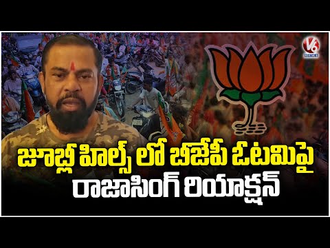 Raja Singh Reaction On BJP Defeat In Jubileehills Bypoll  And Bihar Election Results | V6 News - V6NEWSTELUGU