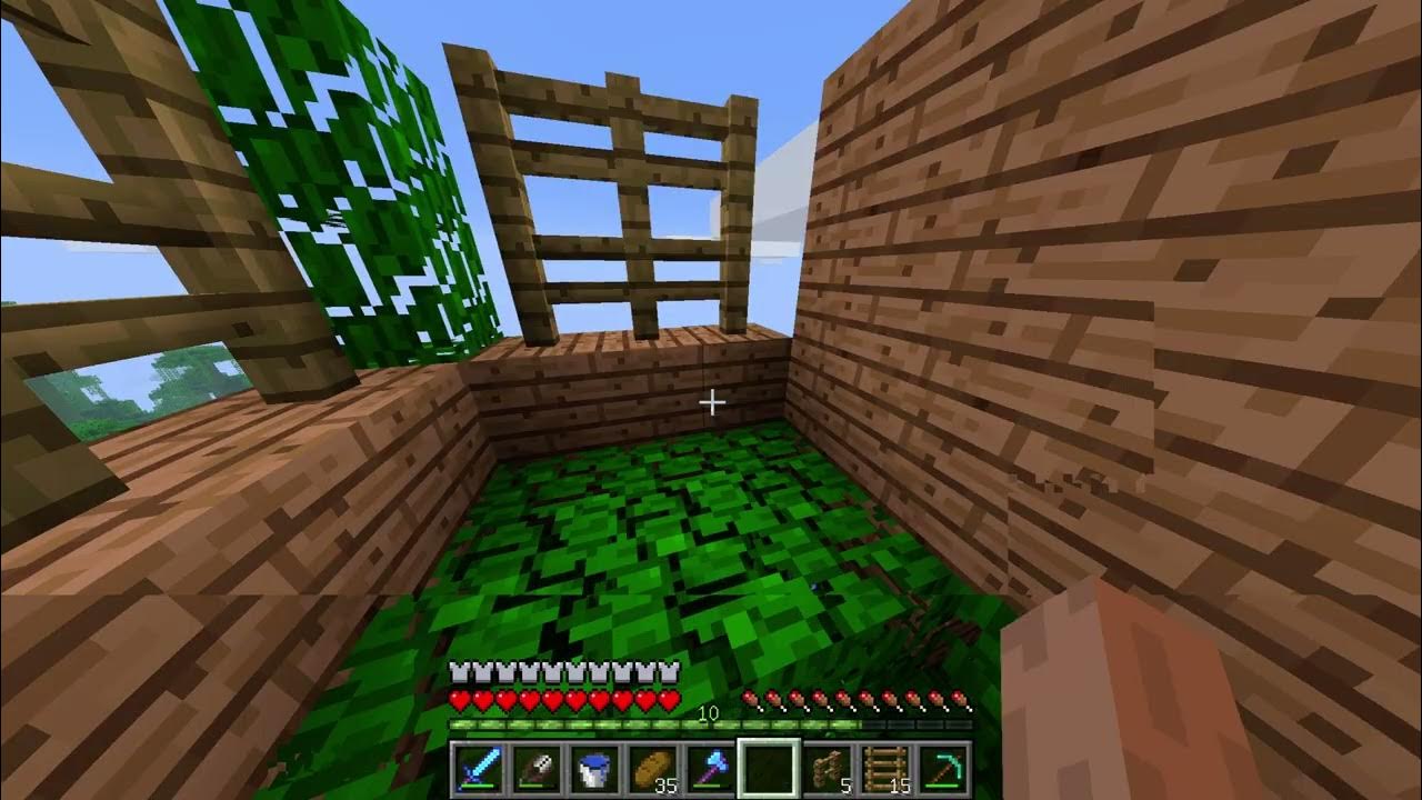 245 1.2.5 (Java Edition) - YouTube