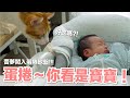 【小貓奴養成記EP3】 蛋捲～你看是寶寶！蕾夢闖入蛋捲地盤!!!