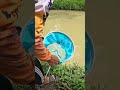 Cá ăn lúp súp #fishing