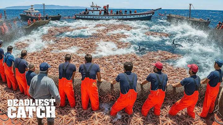 How Harvesting 6 Tons of Octopus in Rough Waters Can Make $900,000 | Fishing Documentary