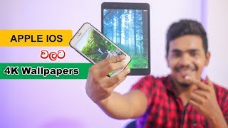 4k Wallpapers for apple ios screenshot 5