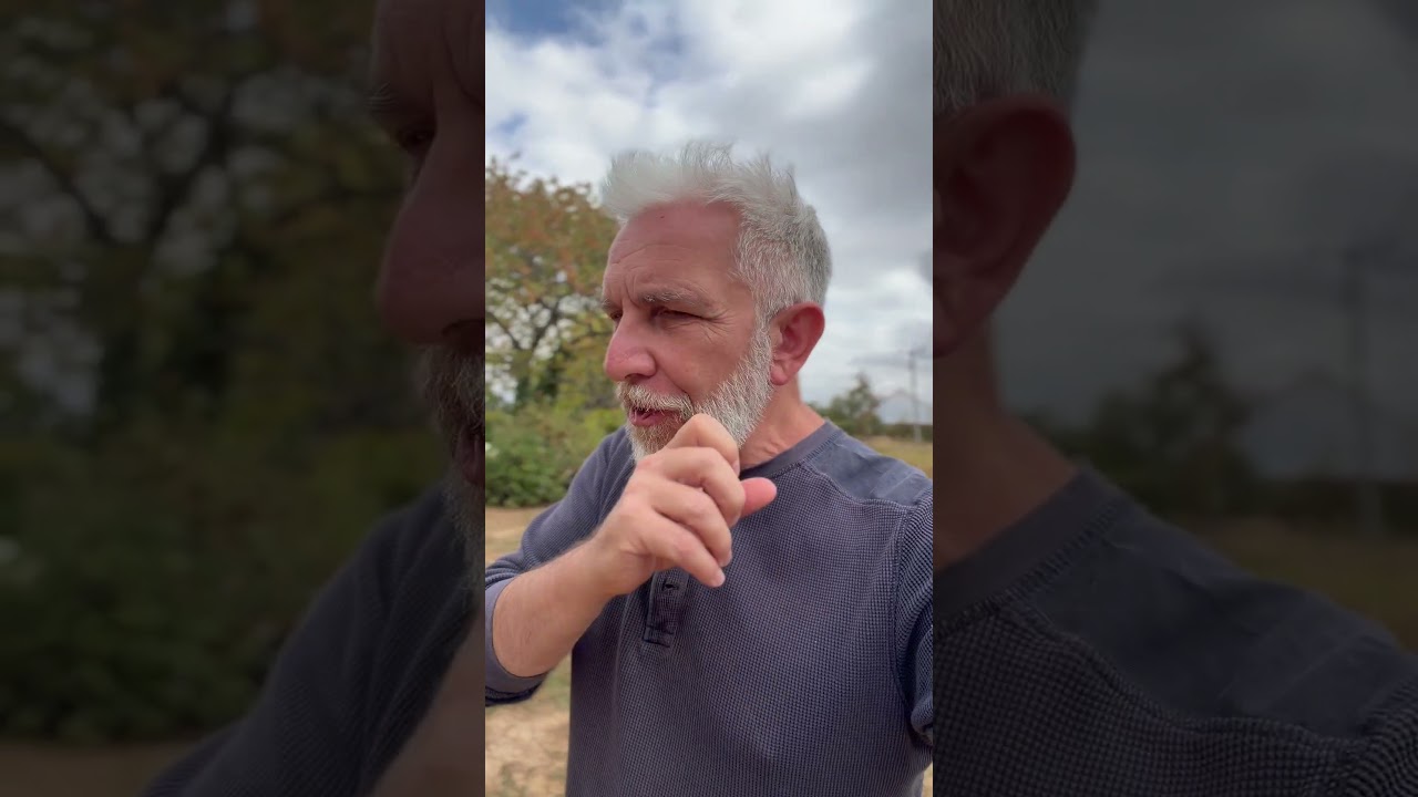 Myth busting... Nobody feels Qi... #qigong #chi #qi #sensation #change