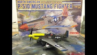 Fantastic New Meng Kit - P-51D Mustang in 1/48