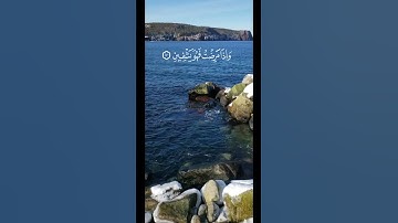 الذي خلقني فهو يهدين || #سورة_الشعراء||  #رعد_الكردي