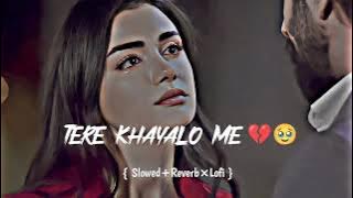 Tere Khayalo Me Teri Hi Yaadon Mein Duba Hu Mai Janeman 😭/Lofi Song/Broken Heart 💔 Sad Song / #lofi