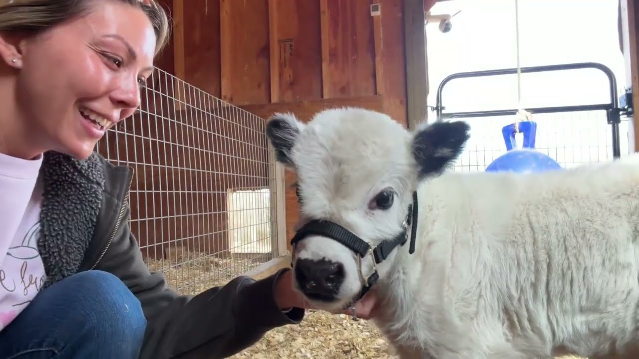 I Hope Chilly Is Ready!