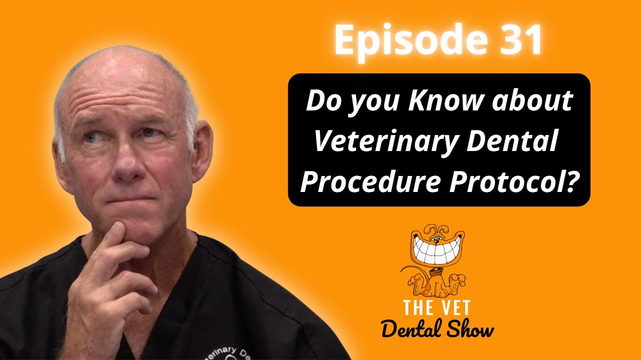 Ep 31Veterinary Dental Procedure Protocol YouTube