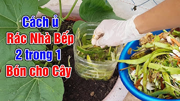 Cách ủ rác nhà bếp 2 trong 1 vừa ủ vừa bón cho cây.