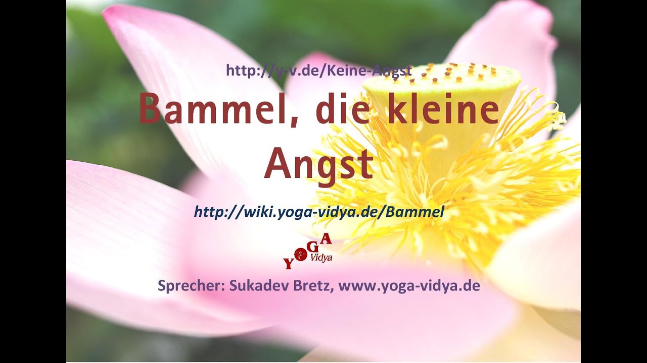 Bammel Haben Bammel Haben