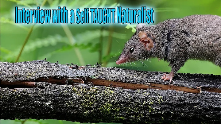 Wildlife photography: Encounters of the Third kind