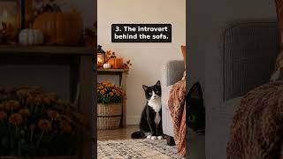 5 pets at every Halloween party